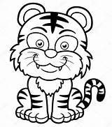 Tigre Colorear Desenhar Tigres Desenho Sararoom Comoaprenderdesenhar Pintada Vetor sketch template