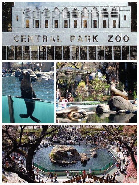 restaurants  central park zoo ambrose barnette