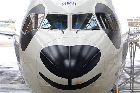 airline loves pandas aircraft interiors international