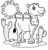 Desert Coloring Animals Pages Getdrawings Plants sketch template