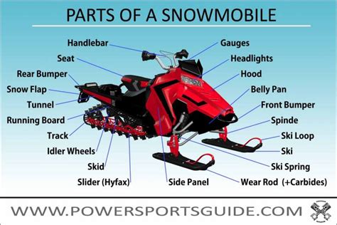 snowmobiles work  basics  sleds powersportsguide