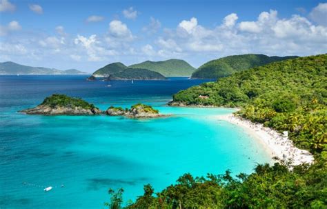 caribbean passport  investment   choose   option