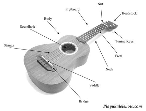 anatomy   uke parts   ukulele play ukulele