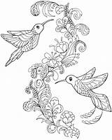 Nectar Colibri Hummingbirds sketch template