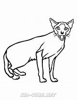 Siamese Cats sketch template