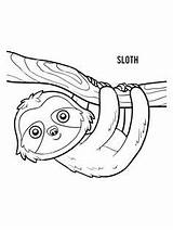 Sloth sketch template