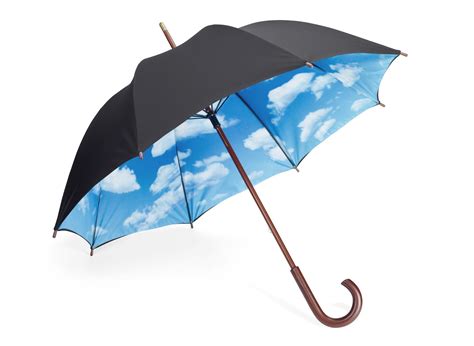 moma sky umbrella business insider