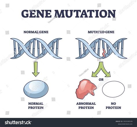 genes mutation images stock  vectors shutterstock