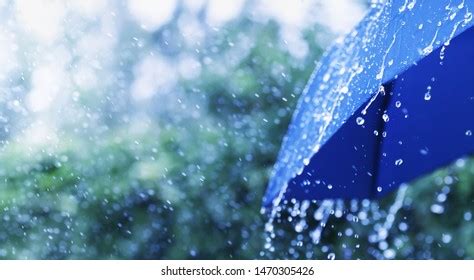 rainfall images stock   objects vectors shutterstock