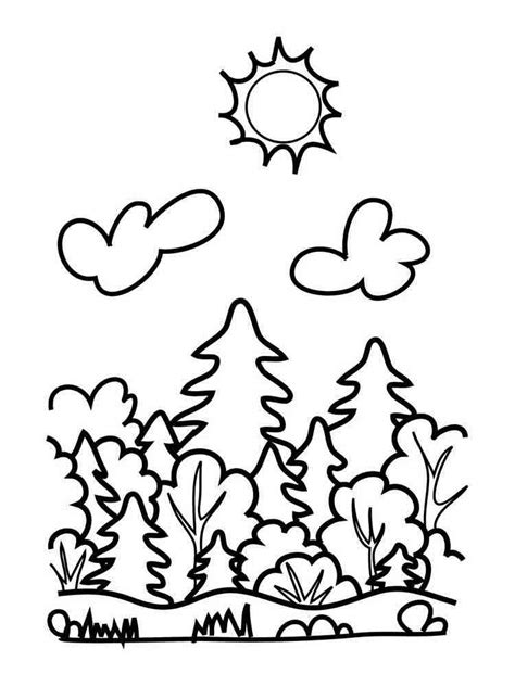forest coloring pages   print forest coloring pages
