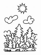 Forest Coloring Pages Printable Nature Print sketch template