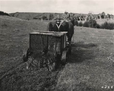 Spreading Manure – Fertiliser Industry – Te Ara Encyclopedia Of New Zealand