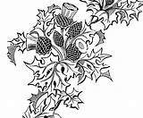 Thistle Line Scottish Drawing Getdrawings sketch template