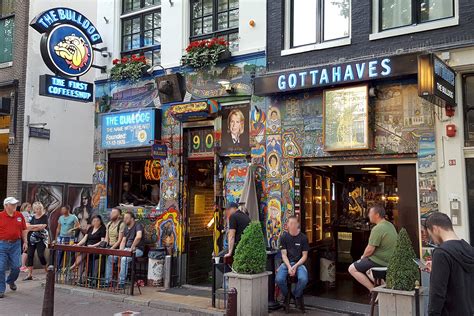 coffeeshops  amsterdam   experience amsterdams cannabis culture  guides