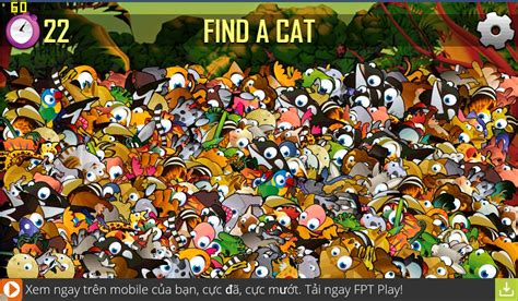 find  animal