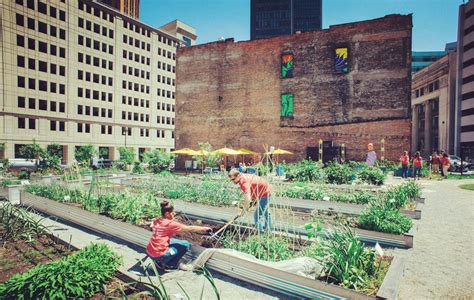 repurposing  vacant urban lots emerges   strategy  reduce crime