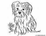 Coloring Pages Yorkshire Terrier Flower Printable Kids sketch template