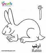 Arabic Coloring Alphabet Pages Letter Kindergarten Book sketch template