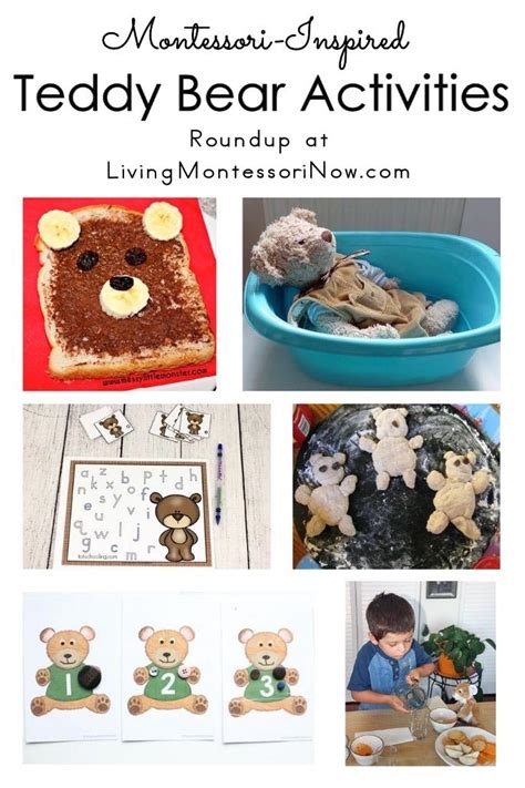 montessori inspired teddy bear activities