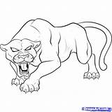 Panther Drawing Coloring Pages Animal Spiderman Kids Panthers Drawings Head Pantera Outline Draw Logo Print Baby Jaguar Face Dibujo Easy sketch template