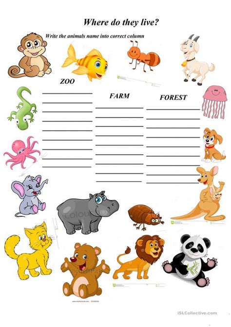 animals  worksheets worksheets