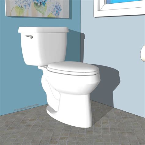 toilets  disabled person  type   homeabilitycom