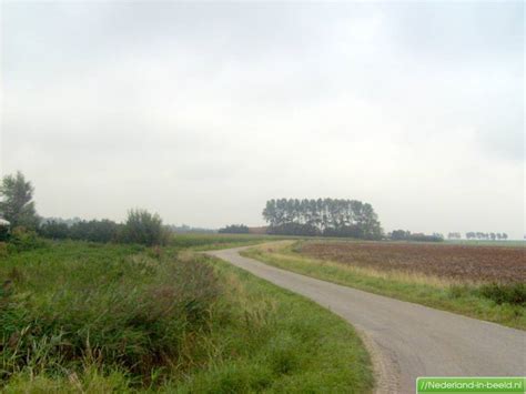 noordgouwe groeneweg luchtfotos fotos nederland  beeldnl