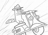 Platypus Ferb Phineas Pepe Dziobak Kolorowanki Dzieci Dla Inkleuren Bron sketch template