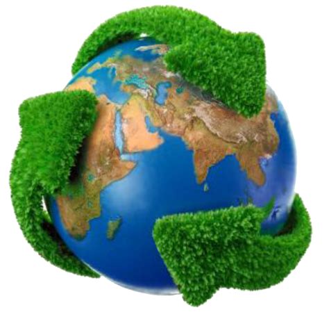 Conscientização Ambiental Com Tijox Tijox Soluções Sustentáveis