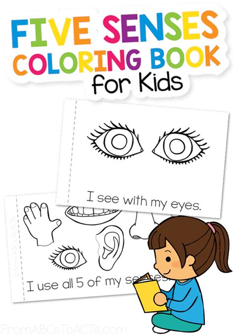 senses coloring book  abcs  acts