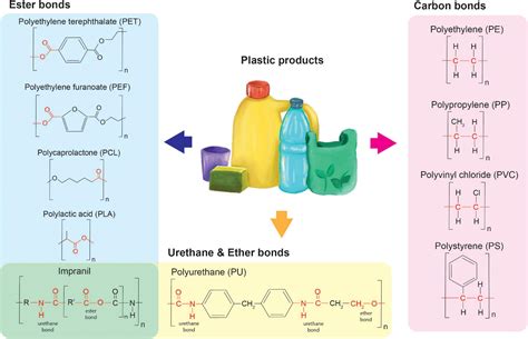 frontiers  microbial recycling  upcycling  plastics