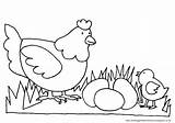 Mewarnai Ayam Paud Hewan Binatang Poule Mewarna Ses Tumbuhan Ikan Poussin Poussins Belajar Pola Coloriages Lumba Bebek Sd Menggambar Kartun sketch template