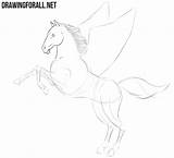 Draw Pegasus Drawingforall Sketch Ayvazyan Stepan sketch template