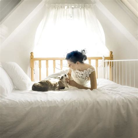 Wedding Photos With Cats Popsugar Love And Sex Photo 15