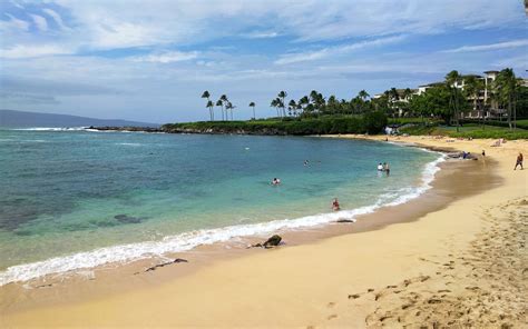 kapalua beach maui hawaii world beach guide