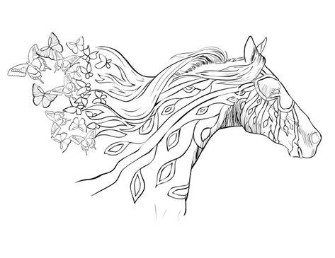 amazing image  coloring pages horses horse coloring pages
