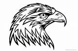 Eagle Coloring Pages Head Printable Adults Kids sketch template
