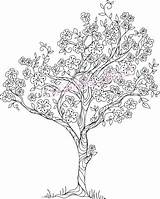 Tree Coloring Blossom Cherry Pages Choose Board Sakura Adult sketch template