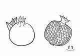 Boyama Okul Muz Meyve Nar Sayfası Ilosofia Sayfasi Oncesi öncesi Basit sketch template