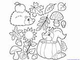 Coloring Fall Pages sketch template