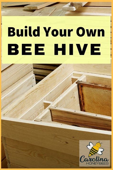 build  beehive    carolina honeybees bee keeping