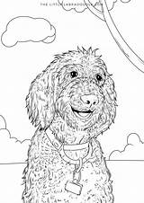 Labradoodle sketch template