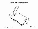 Flying Squirrel Coloring Sketch Draw Recommended Books Paintingvalley sketch template