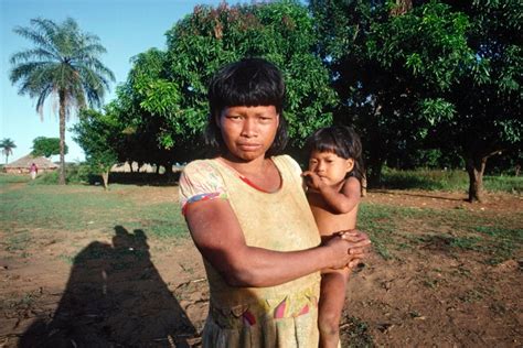 Brazil’s Proposed Environmental Laws Would Weaken Indigenous Rights