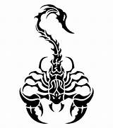 Scorpion 6th sketch template