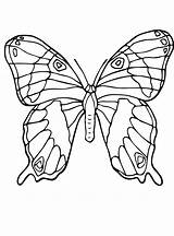 Vlinders Kleurplaat Schmetterlinge Malvorlage Vlinder Stemmen Kleurplaatjes Stimmen sketch template