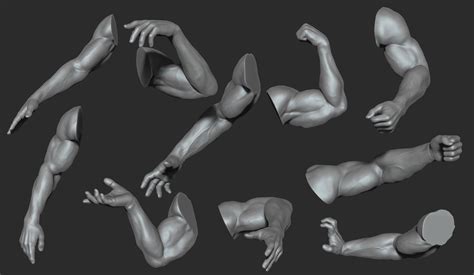 artstation muscular male arms  poses resources