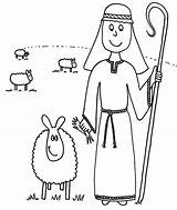 Sheeps sketch template