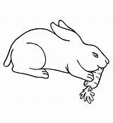 Colorat Rabbit Desene Iepure Planse Carrots Rabbits Iepurasi Animale Twistynoodle Iarba Plansete Runaway Iepurele Iepuras Fisa Alege Incepem Preferata şi sketch template