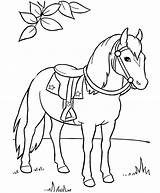 Clydesdale Pages Coloring Horse Getcolorings Printable Print sketch template
